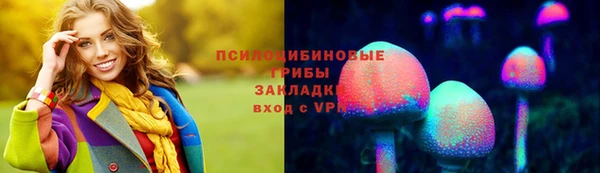 прущие грибы Алексин