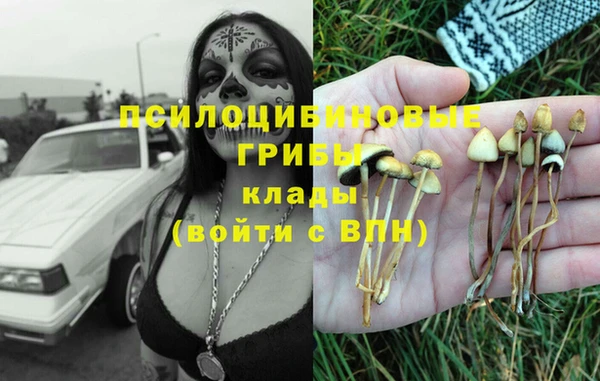тгк Алексеевка
