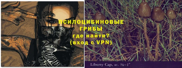 прущие грибы Алексин
