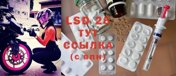 стафф Алзамай