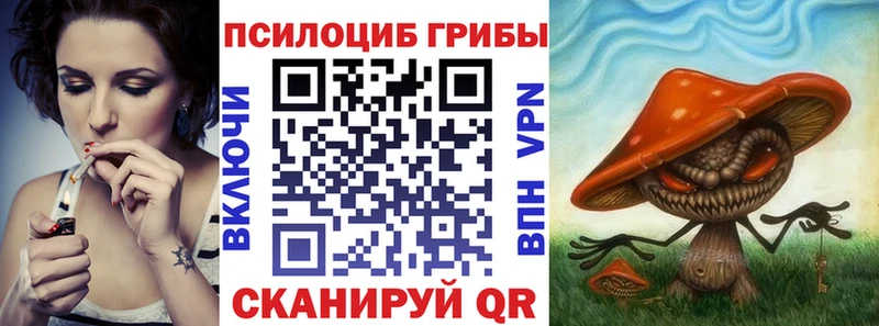 сколько стоит Гурьевск Псилоцибиновые грибы ЛСД